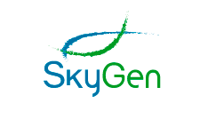 Поддержка сайта Skygen